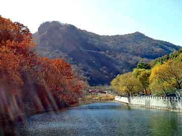 星空官网-巴西2-0领先乌拉圭，世界杯预选赛取得关键胜利，1950年世界杯巴西vs乌拉圭