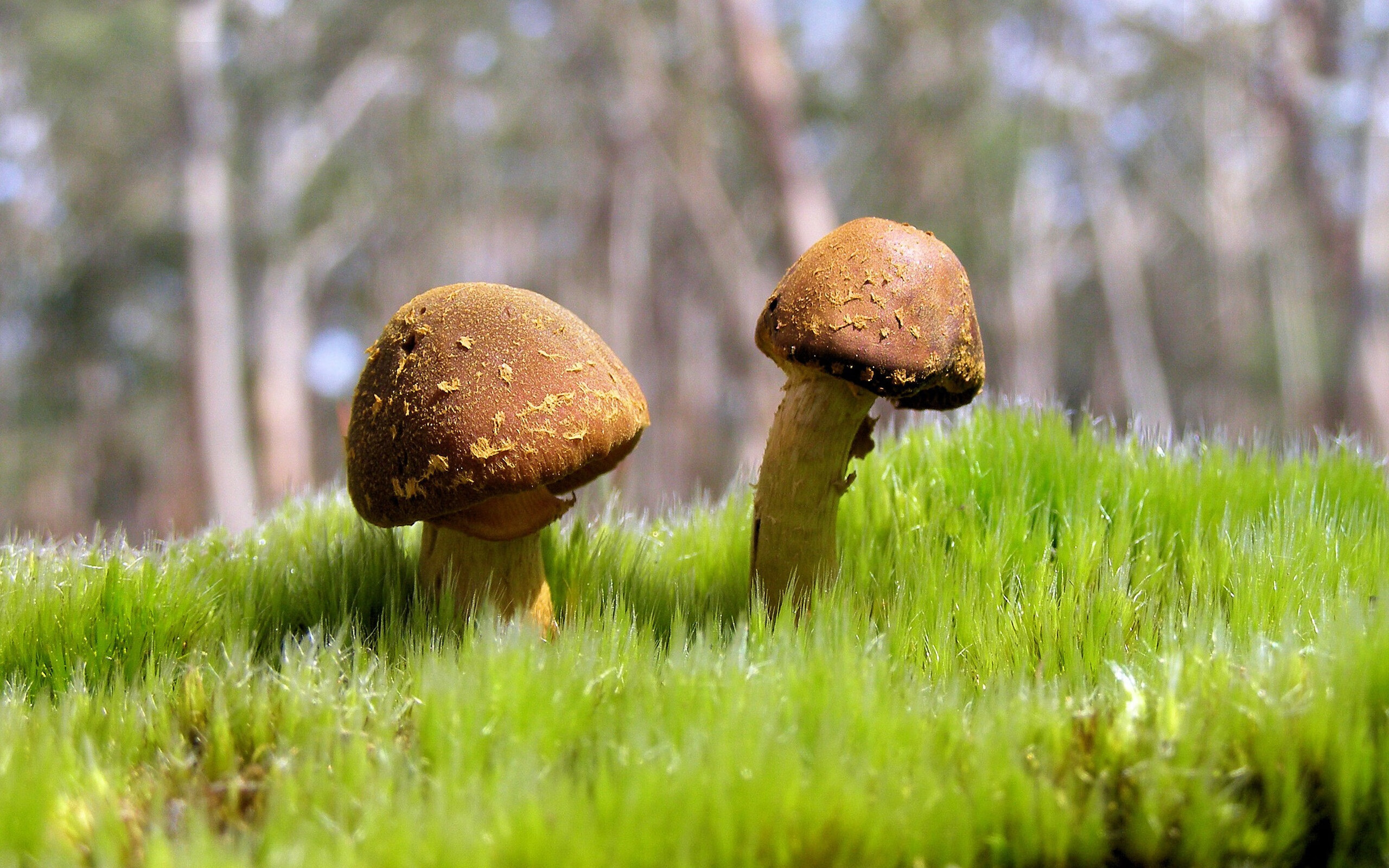 星空体育官网下载-退役典礼温情上演，老将功勋被铭记，退役仪式上的致辞